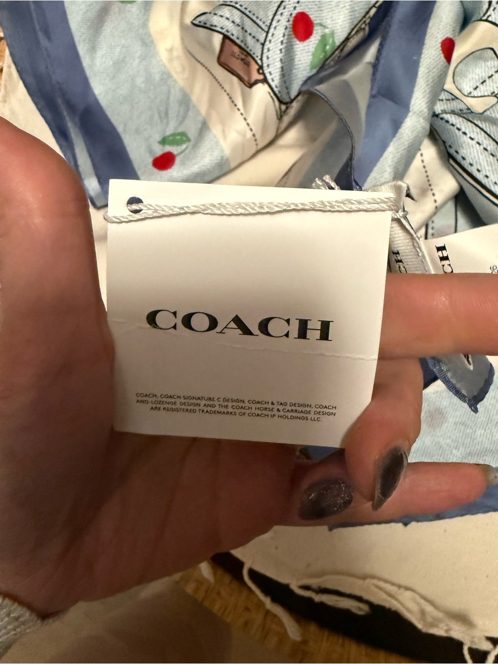 Coach Blue and Cream Silk Scarf with Cherry Motif - Picture 5 of 7